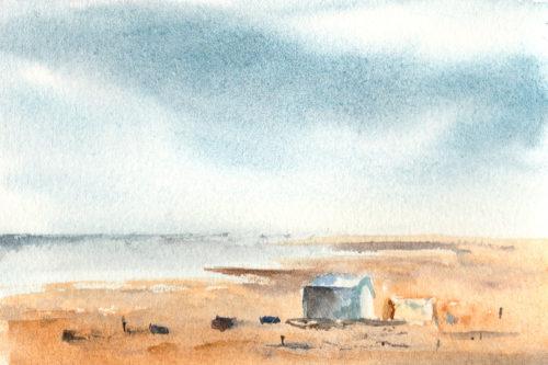 Cooper Island Camp