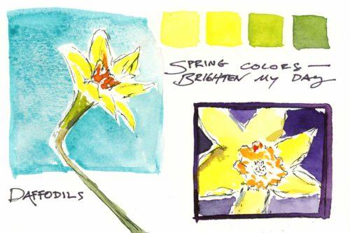 Daffodil study