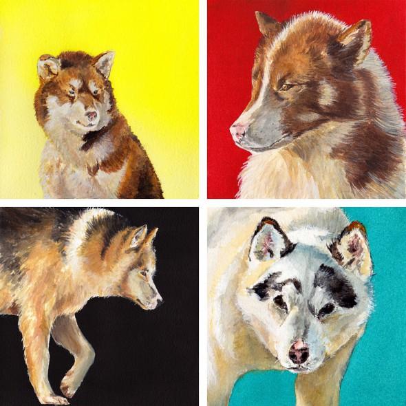 dogs