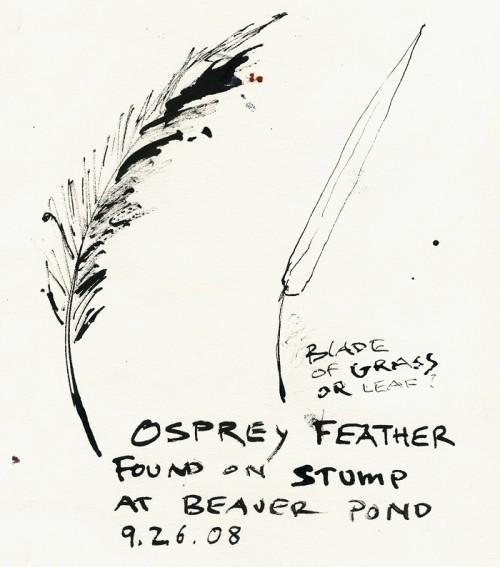 Sketching with found materials dipped in ink