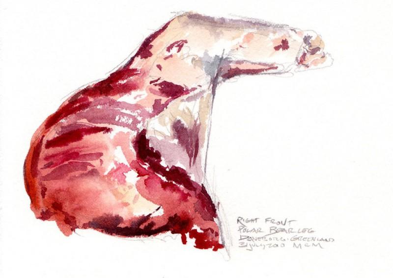 Polar bear meat must be carefully cooked as it can host the parasite trichinosis.