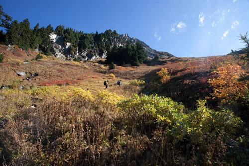Fall colors