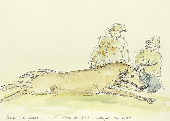 First Deer of the Season, 7″ x 5″ field sketch