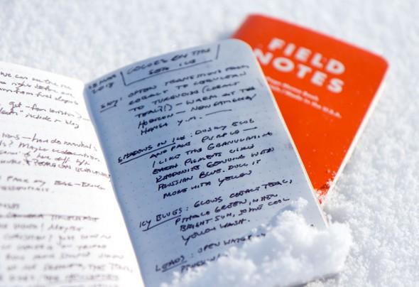 fieldnotes