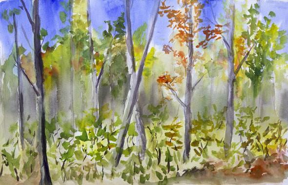Multiple Height Classes, 17″ x 11″ field sketch