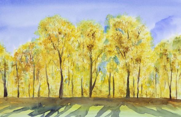 Fall colors, 17″ x 11″ field watercolor