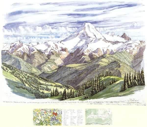 Mt.Baker, 22" x 31" - 4" x 9" (©1996 Tony Foster)
