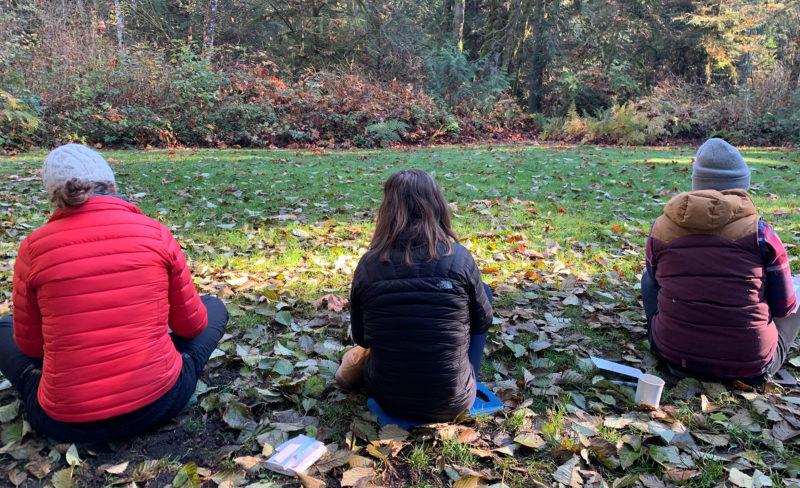 Sketching at Islandwood