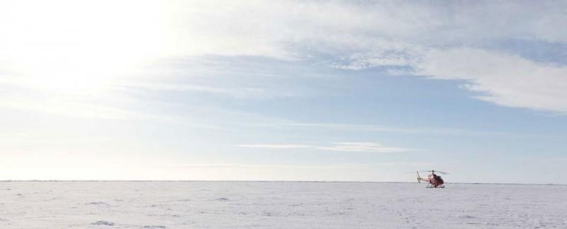 Landed on the sea ice