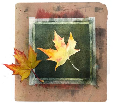 First wash of leaf colors
