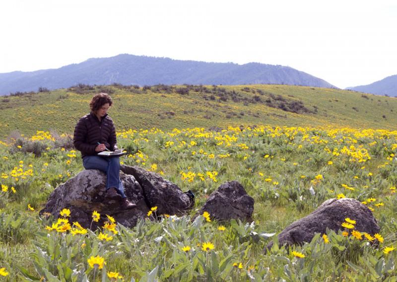 Sketching on Capwright hill, photo credit: Benj Drummond