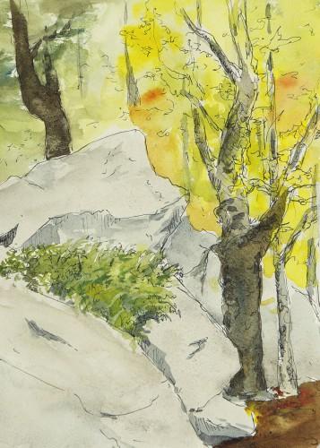 Mohonk forest, 5&Prime; x 7&Prime; field sketch
