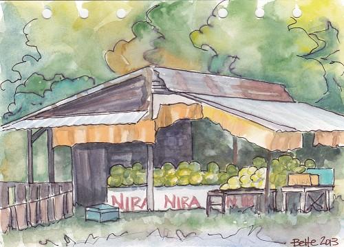 nira