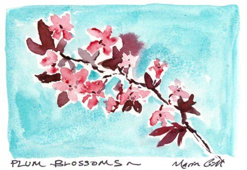 Plum blossom study