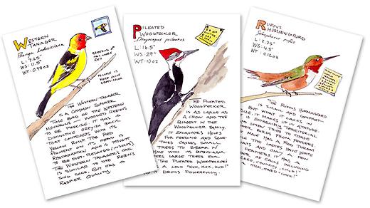postcards_small