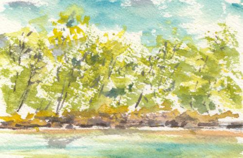 Methow River study