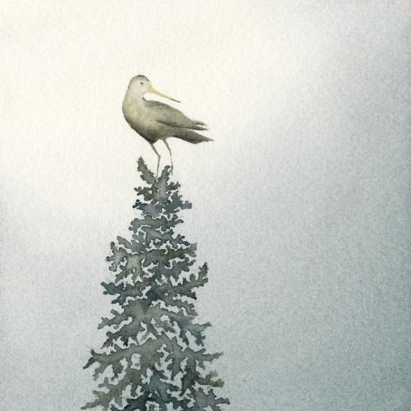 Godwit in the fog, 5" x 5" watercolor