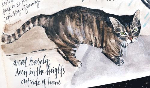 Cat from Samantha&rsquo;s journal