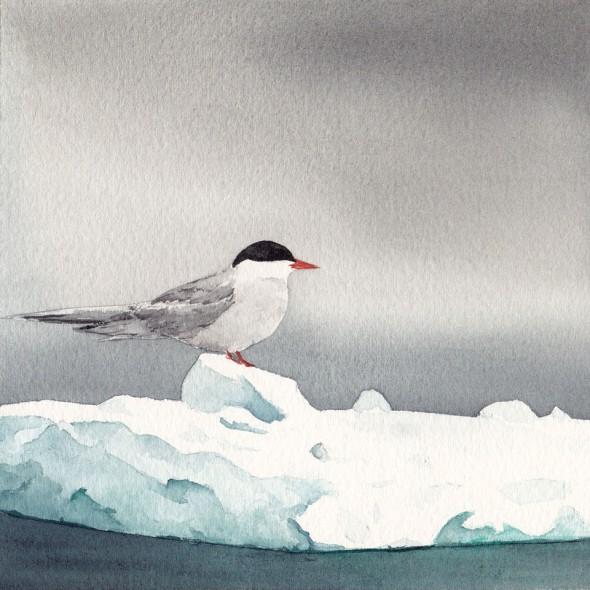 5" x 5" number twenty three: Sitting out the Storm