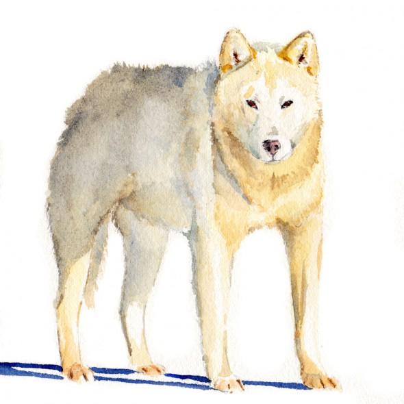 standingdog