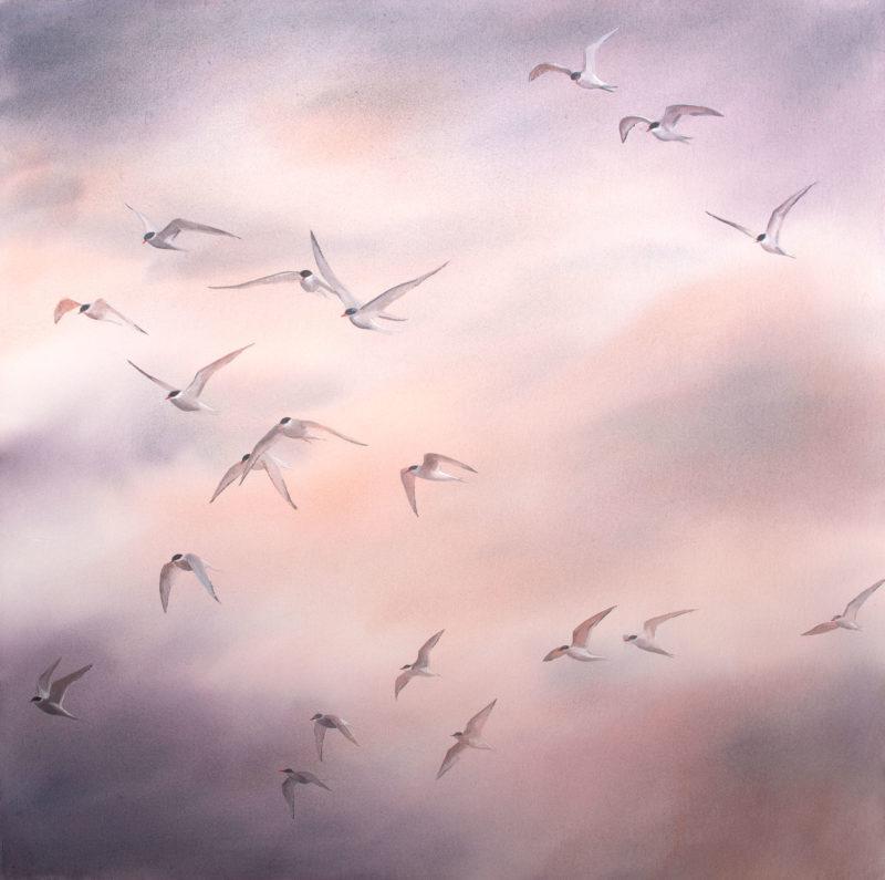 Arctic Tern Flock, 24″ x 24″ (61 x 61cm)