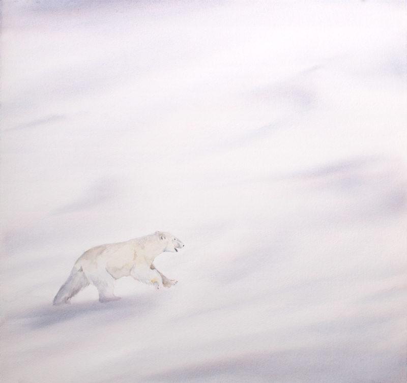 Polar Bear, 22″ x 20″ (56 x 51cm)