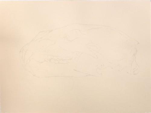 tracing4