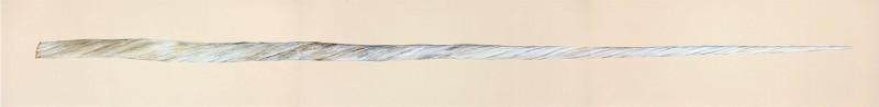 Narwhal Tusk, 11" x 90" field painting, completed on 3 panels